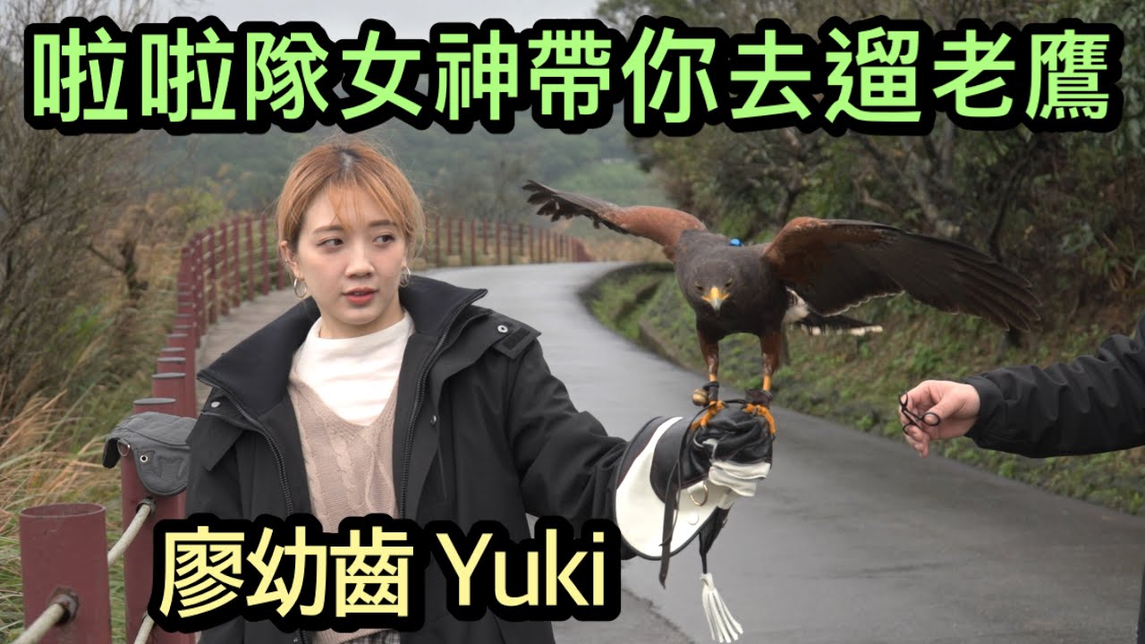 老鷹與啦啦隊女神相遇，遛狗不稀奇，遛老鷹超帥,讓Yuki帶著大家成為馴鷹大師