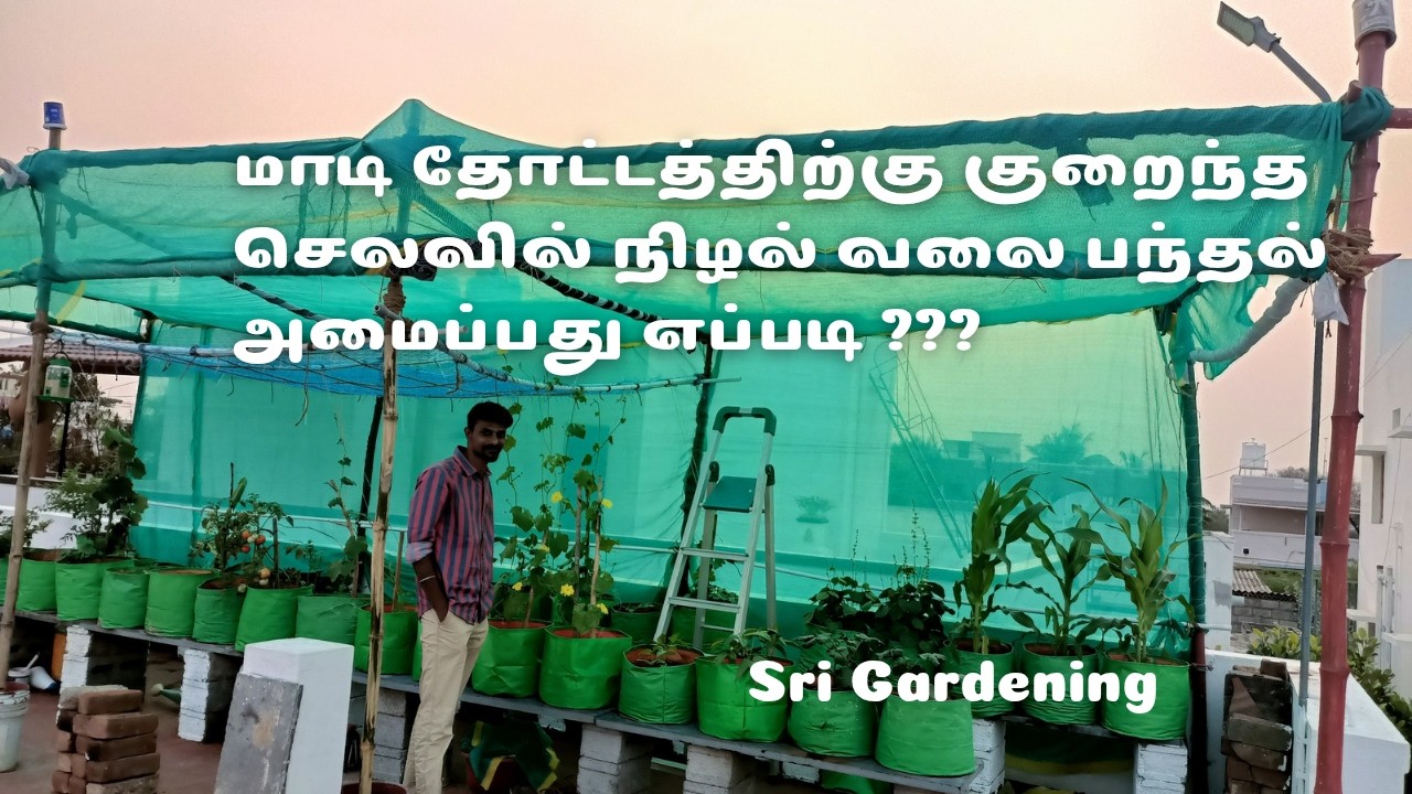 மாடி தோட்டத்திற்கு குறைந்த செலவில் நிழல் வலை பந்தல் அமைப்பது எப்படி? | Green Shade net at low cost 💚