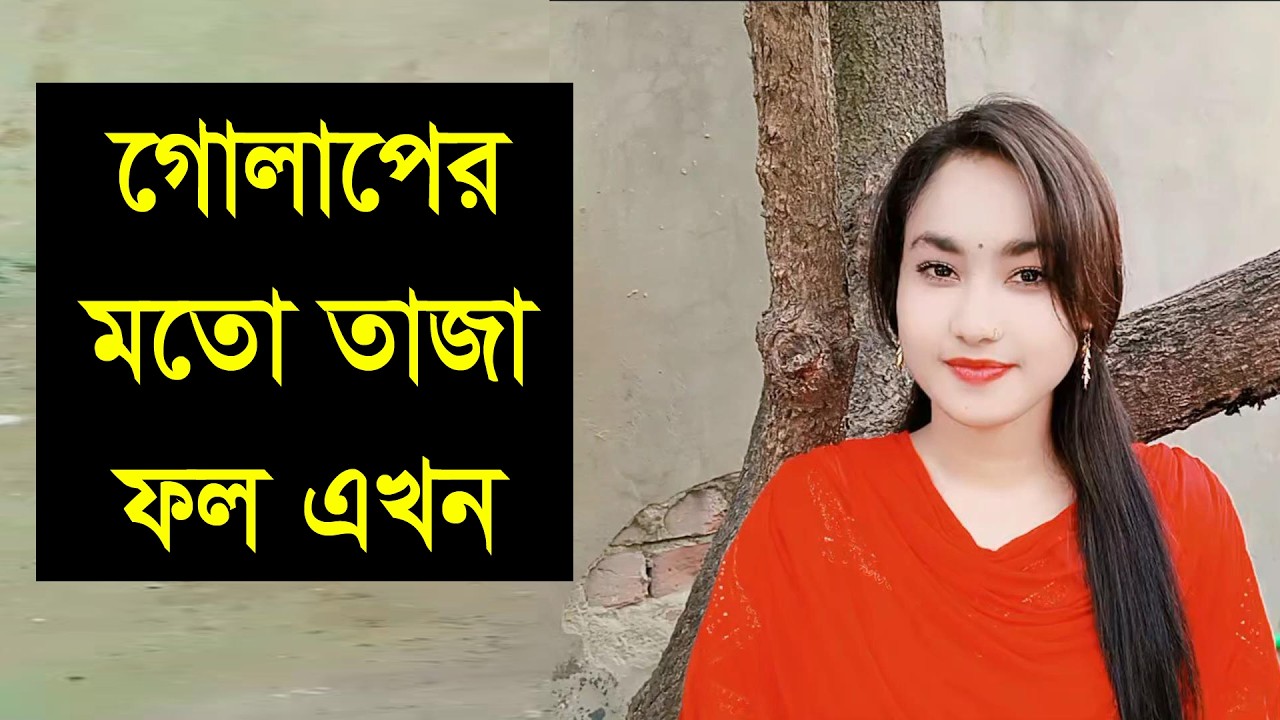 সুন্দর একতটা  মনের মতো মানুষ যদি আমার হাত ধরে তার সাথে সংসার করবো