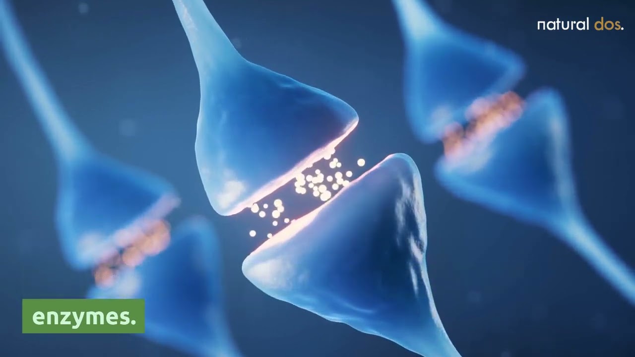 CBDA vs CBD: What are the differences? Find out the benefits of the original CBDA cannabinoids