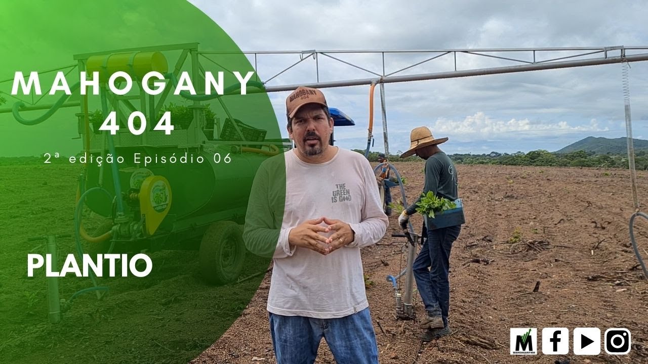 MAHOGANY 404 | 2&ordf; EDI&Ccedil;&Atilde;O - EPIS&Oacute;DIO 06 PLANTIO