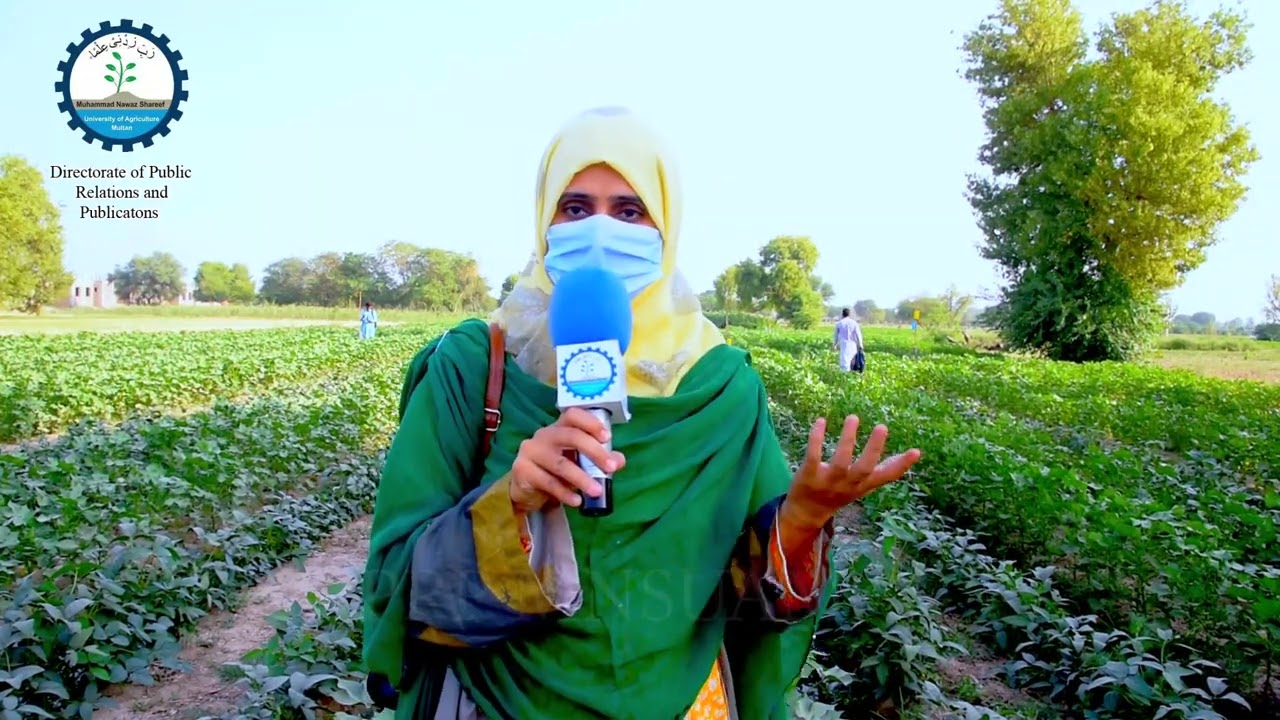 Cotton-soybean inter-cropping for sustainable Agriculture and.biodiversity rehabilitation /MNSUAM