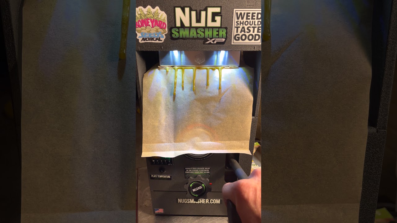 Fresh frozen Bubble Hash press