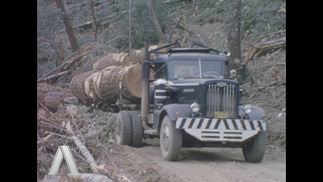 Loggers in Northern California, 1962 - 8mm film