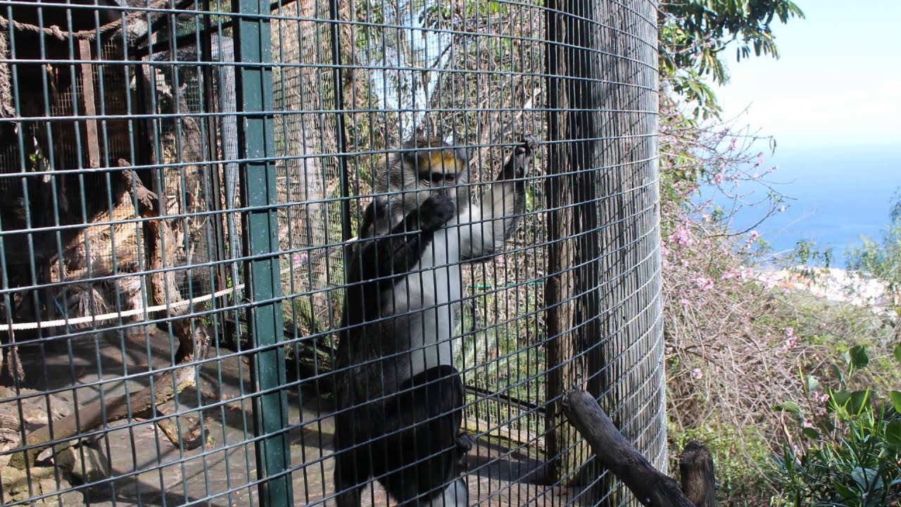 Maroparque La Palma