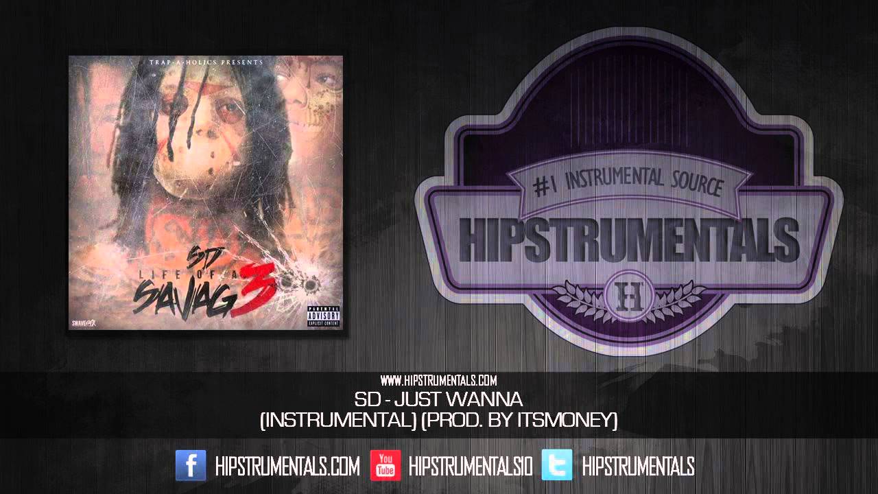 SD - Just Wanna [Instrumental] (Prod. By @ItssMoneyy) + DOWNLOAD LINK