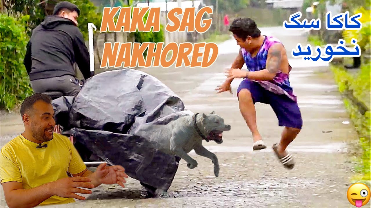 Kaka Sag Nakhored - Comedy | کاکا سگ نخورید - طنز کمیدی