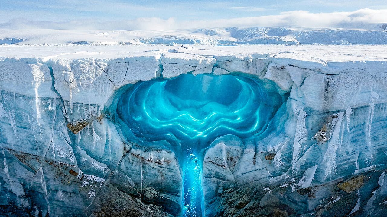 南極での新発見が地球上の生命に関する知識を覆す