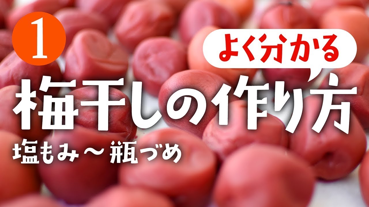 #01 よく分かる減塩梅干し作り方 in2018