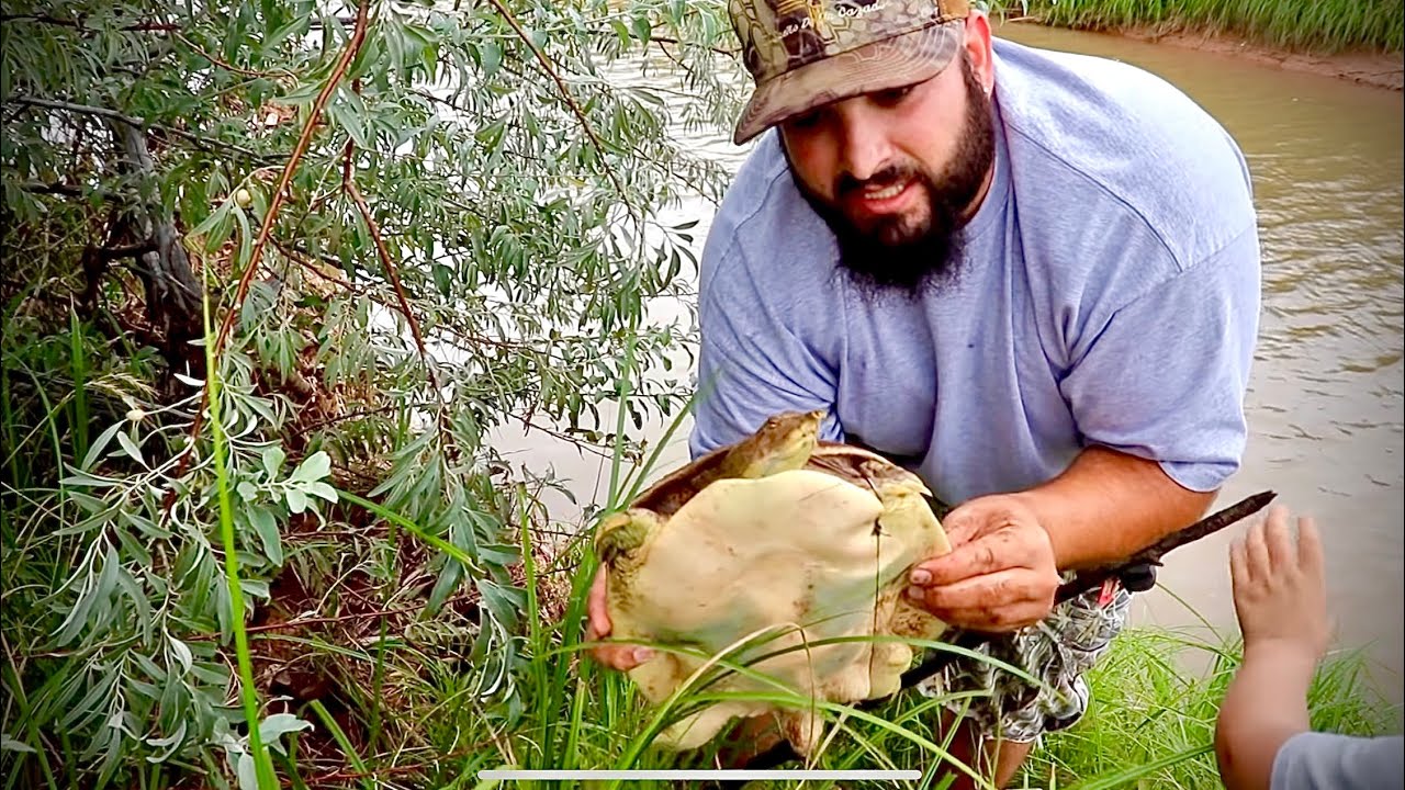 TORTUGA 🐢 PESCA Y COSINA 🔥