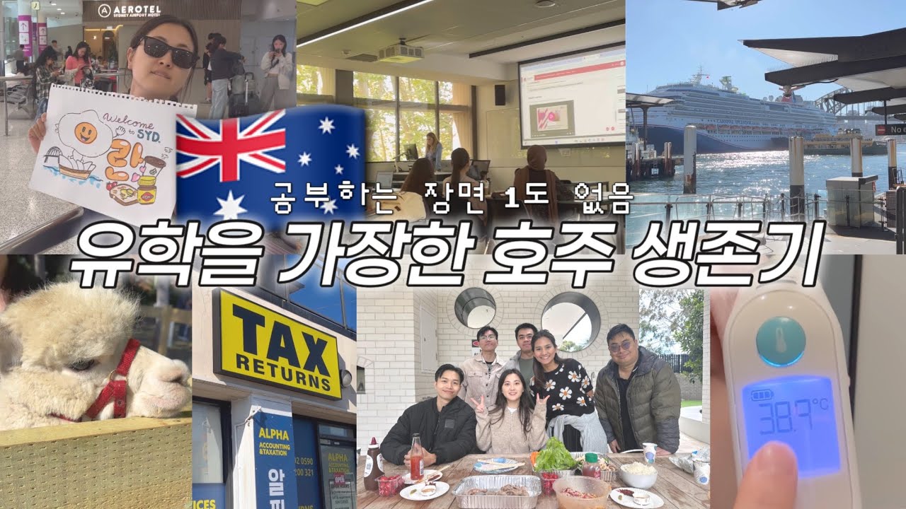 🇦🇺6개월 생존기 | 분명 유학생인데 공부하는 장면이 없어요