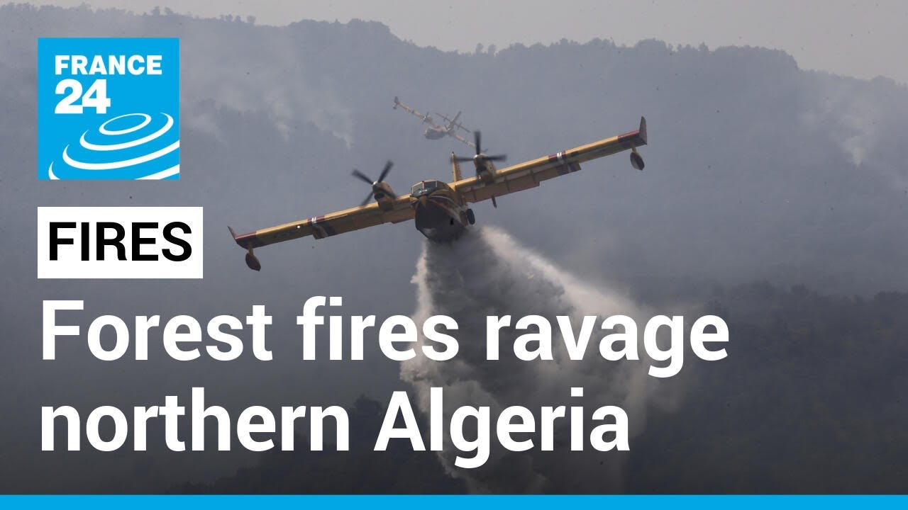 Deadly forest fires ravage northern Algeria &bull; FRANCE 24 English