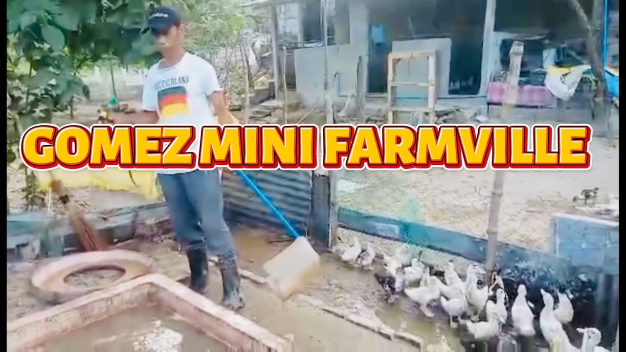Daily vlog Ep 0035/ pag gawa ng gate/ Gomez mini FarmVille 