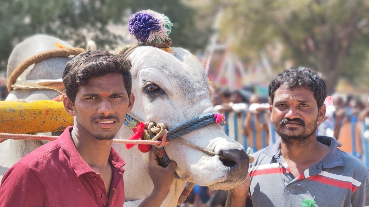 తొండపాడు గ్రామం న్యూ కేటగిరీ 6వ జత 💥💥💥