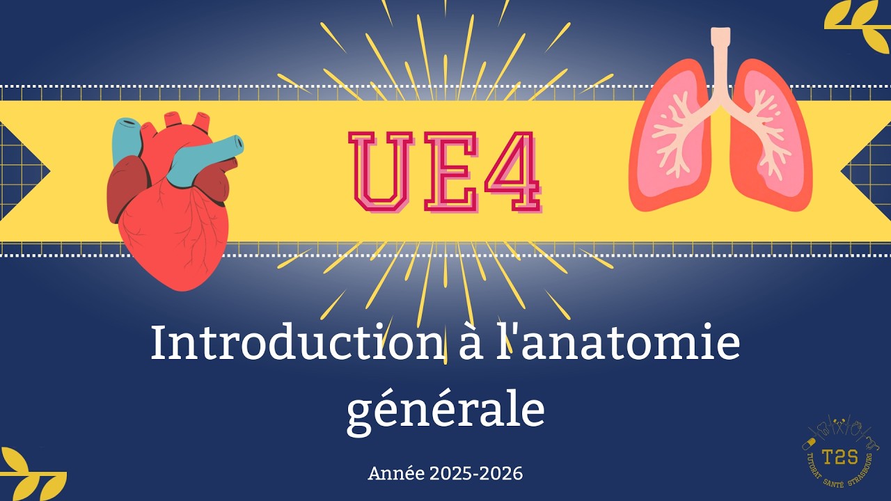 UE4 - Introduction à l'anatomie générale