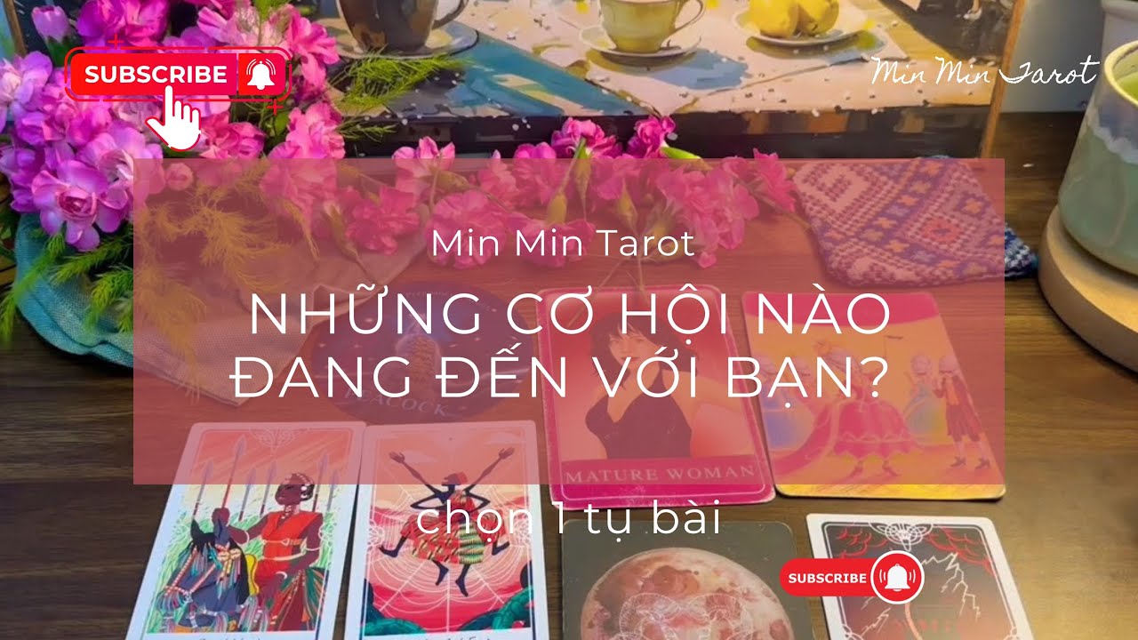 CHỌN 1 TỤ BÀI tarot: Những cơ hội nào đang đến với bạn? 