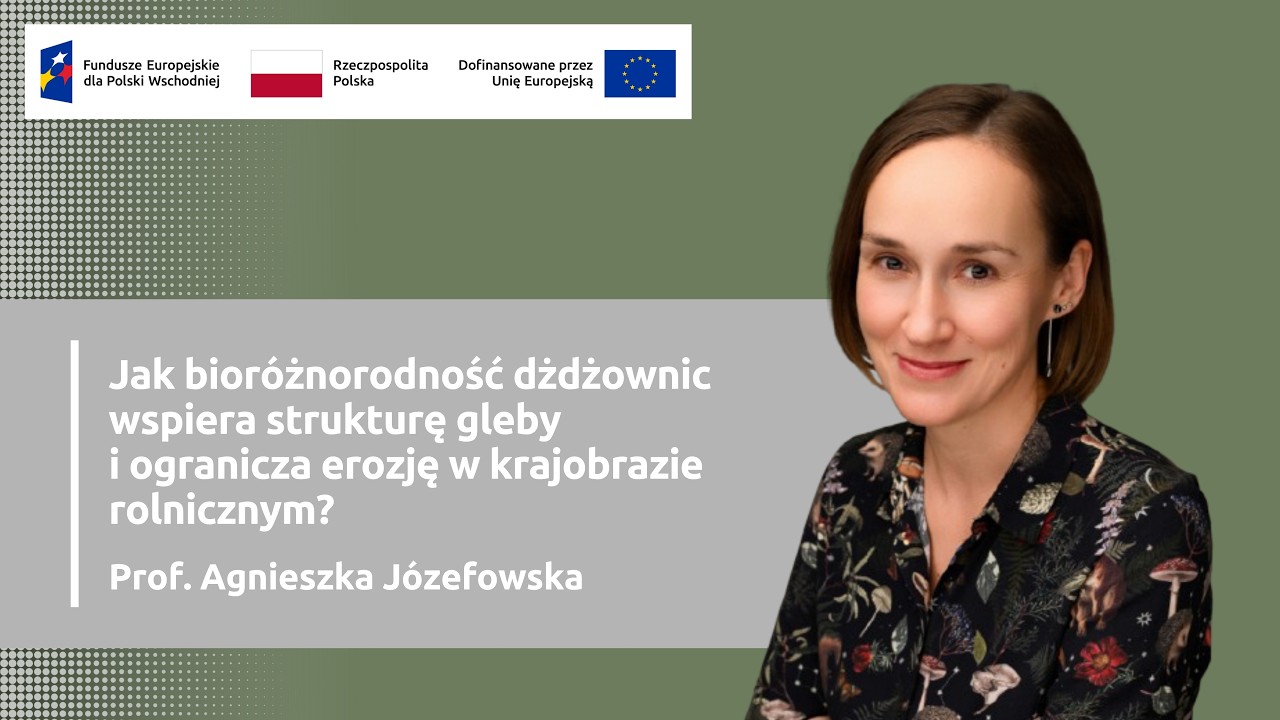 Jak bioróżnorodność dżdżownic wspiera strukturę gleby i ogranicza erozję w krajobrazie rolniczym?