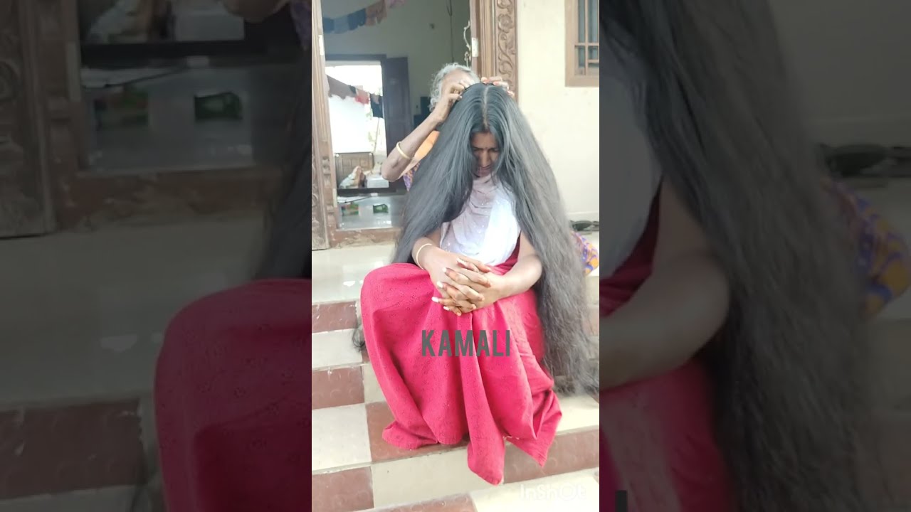 Longhair Nit picking video 🤩🤩 
