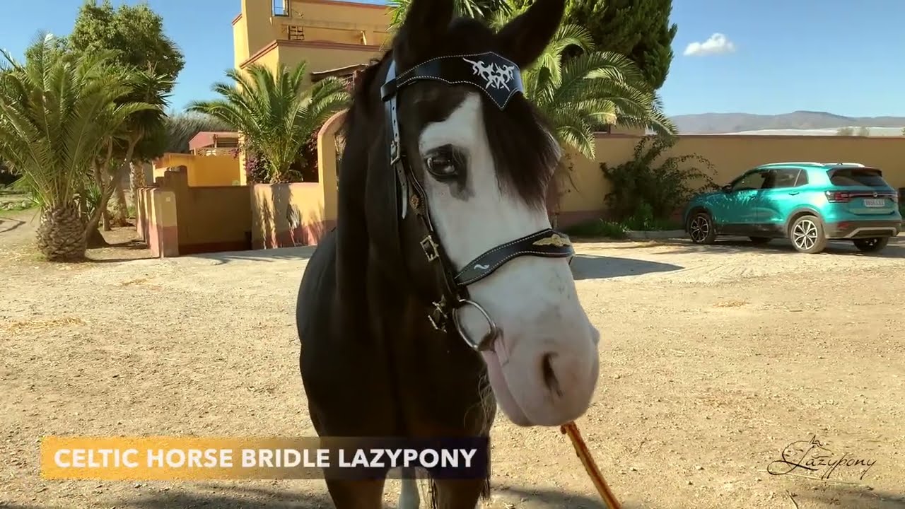 Celctic horse bridle Lazypony