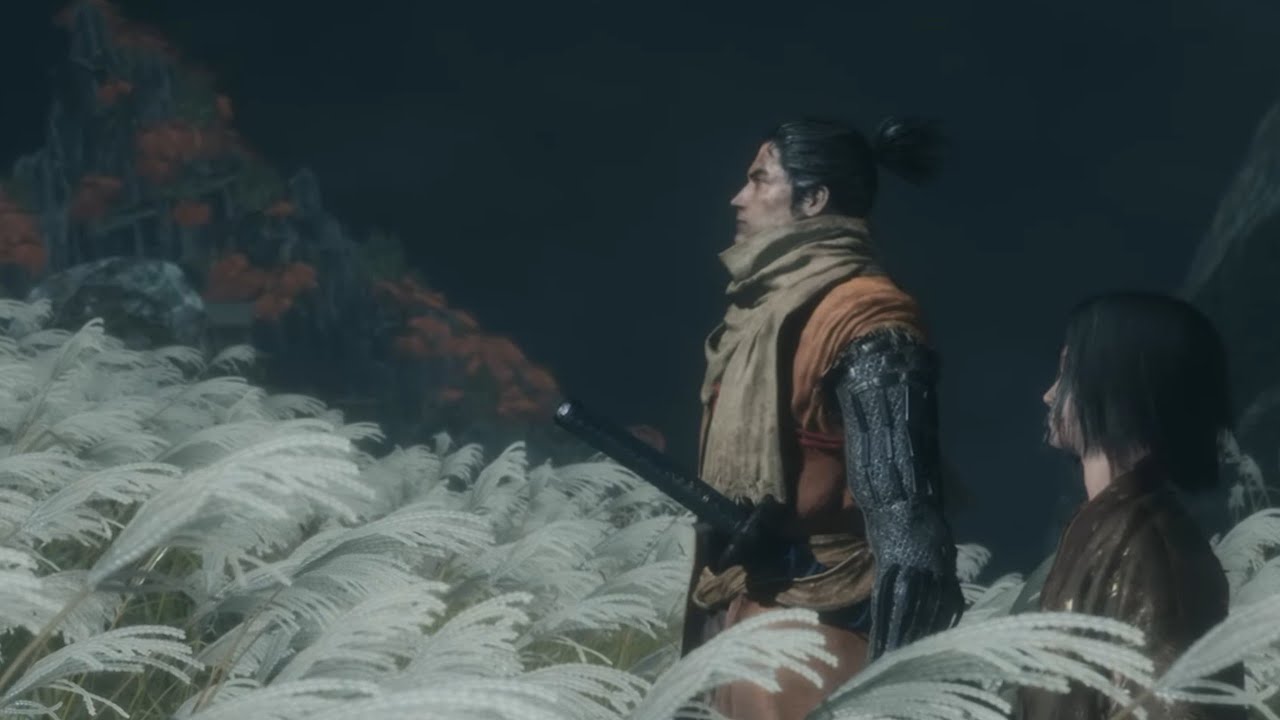 Test  4K   SEKIRO