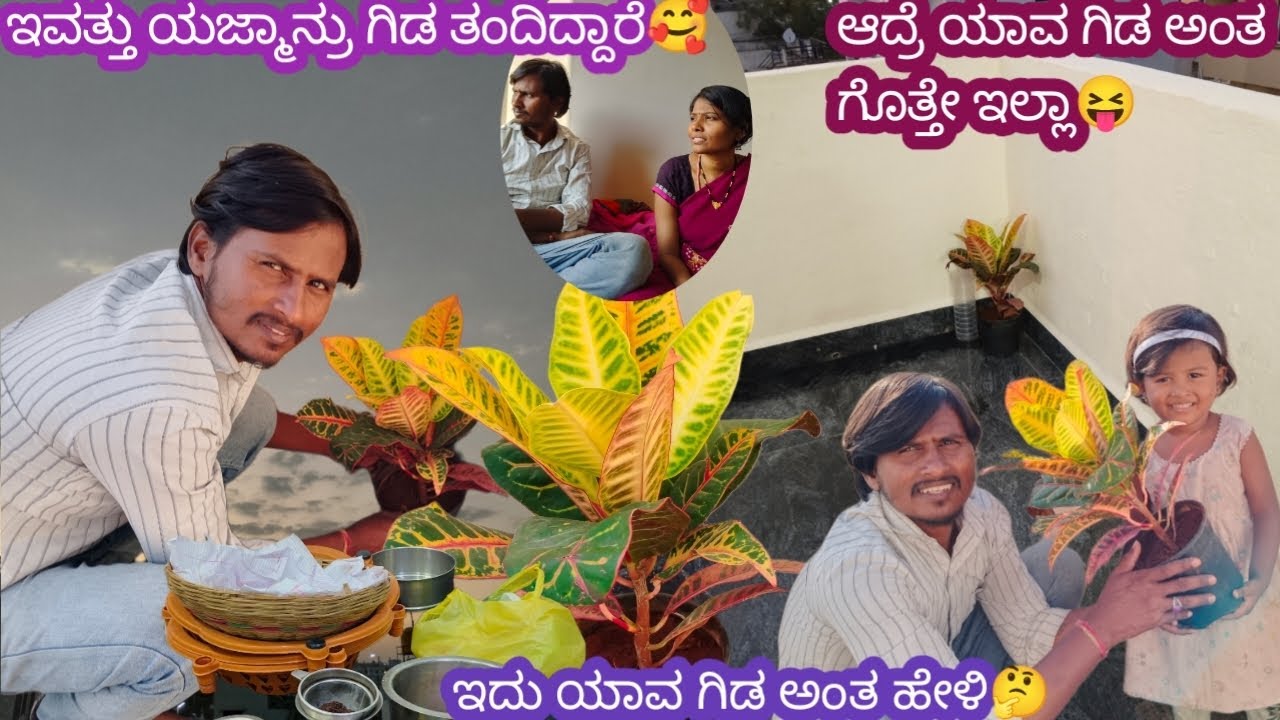 ಇವತ್ತು ಯಜ್ಮಾನ್ರು ಗಿಡ ತಂದಿದ್ದಾರೆ 🥰 ಆದ್ರೆ ಯಾವ ಗಿಡ ಅಂತ ಗೊತ್ತೇ ಇಲ್ಲಾ 😝 ಇದು ಯಾವ ಗಿಡ ಅಂತ ಹೇಳಿ🤔