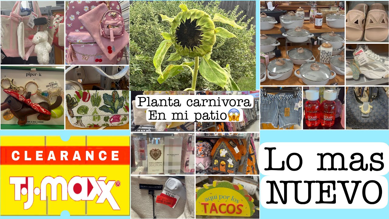 Perfumes, Bolsos y Marcas de Lujo en TJ Maxx 💖 ¡Todo en Rebaja y Clearance!