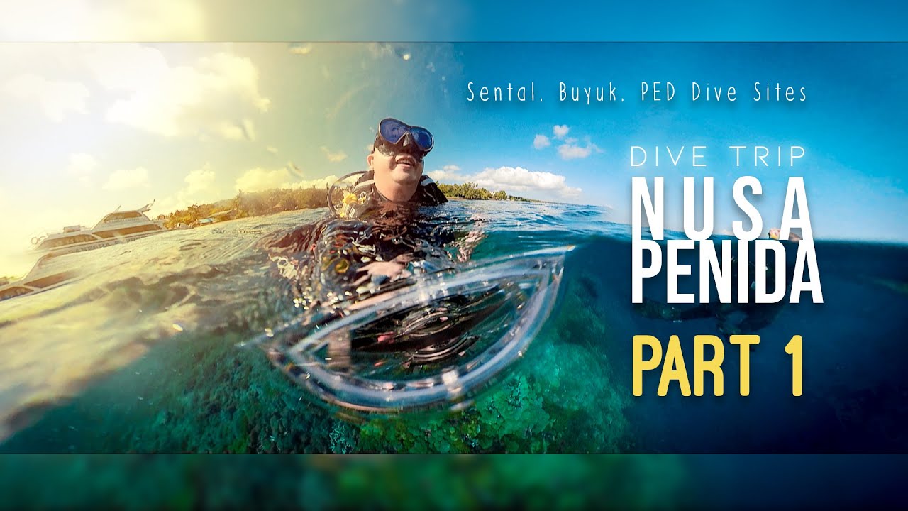 VLOG | Nusa Penida Dive (Part 1) - Sental, Buyuk, PED Dive Site