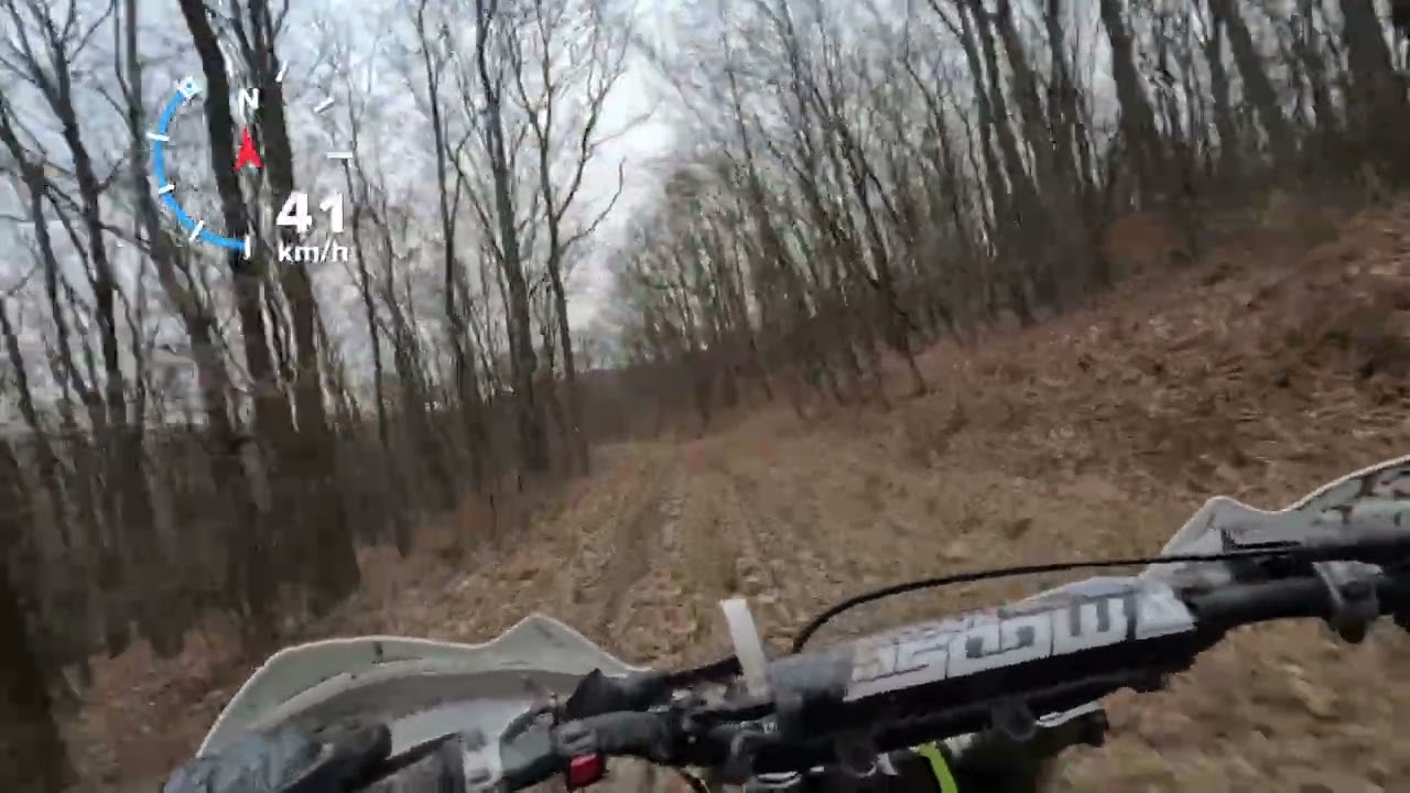 Suzuki RM 125 test