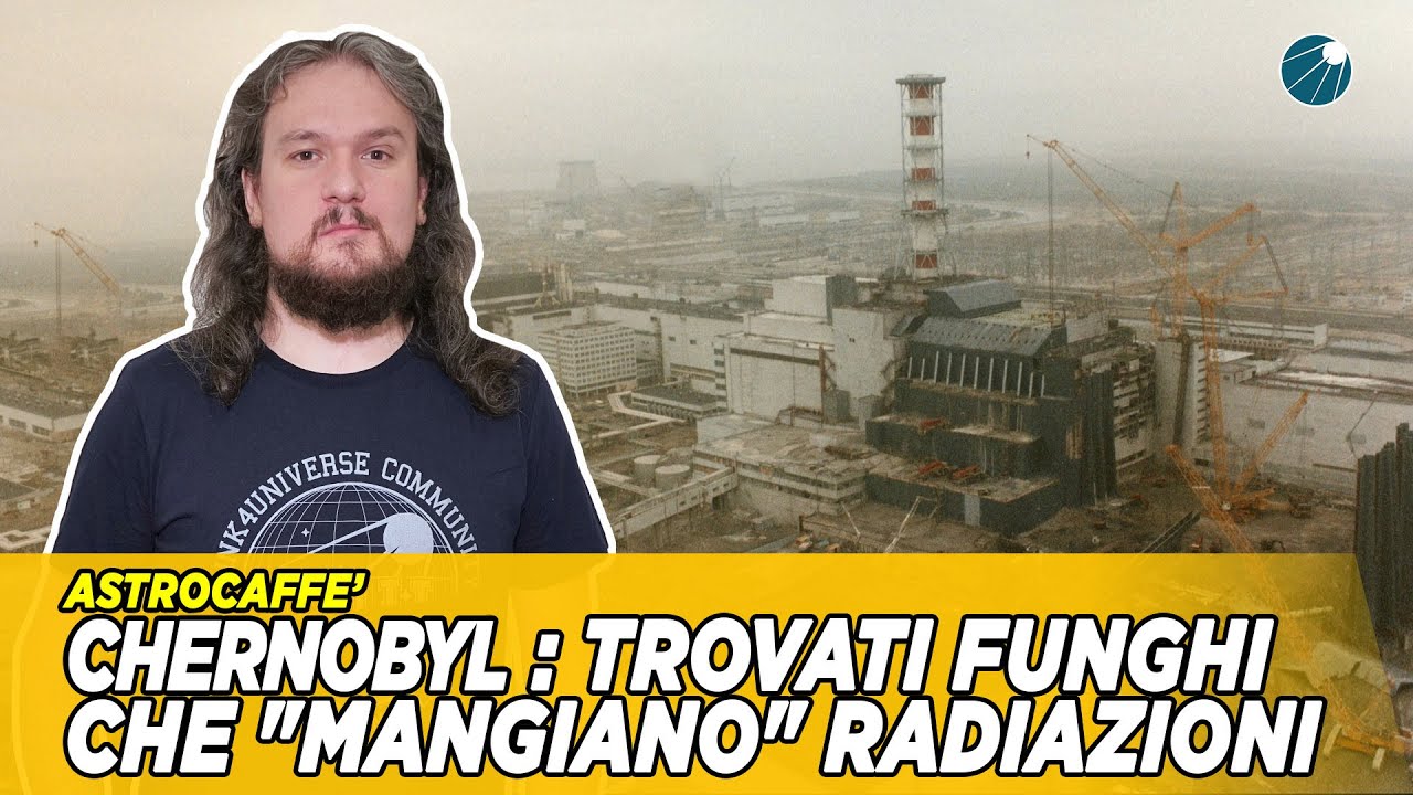 Chernobyl : trovati funghi che 