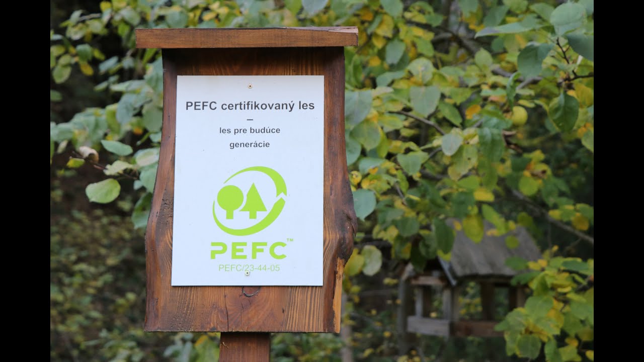 LESY SR a certifik&aacute;cia lesov PEFC
