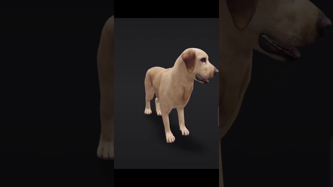 This 3D Dog is Too Real to Be Virtual! 🐶✨ #Shorts