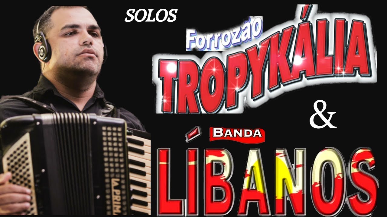 SOLOS NA SANFONA TOPYKALIA & LIBANOS