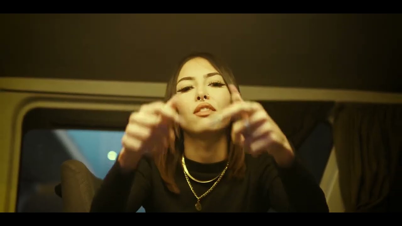 ALTAF - Chien Levant (Diss-Track)