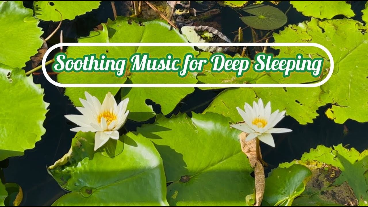 Soothing Music Relieves Stress 🌿​ Healing Music for Sleeping, Study, Spa, Yoga & Meditation