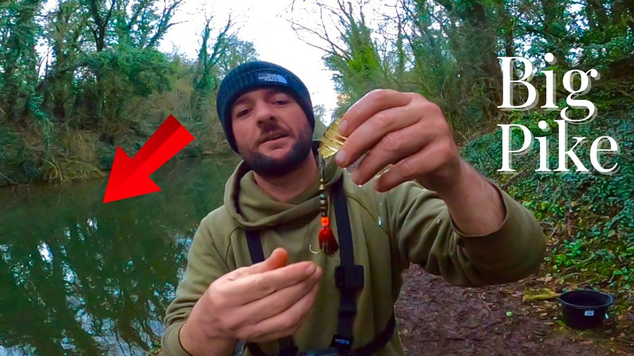I CAUGHT a HUGE PIKE with a SPINNER already in its MOUTH !!