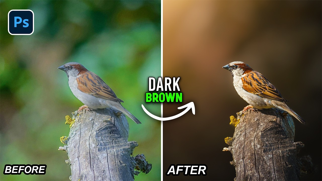 Create This Super Dark and Brown Color Grading Using Masking in Camera Raw