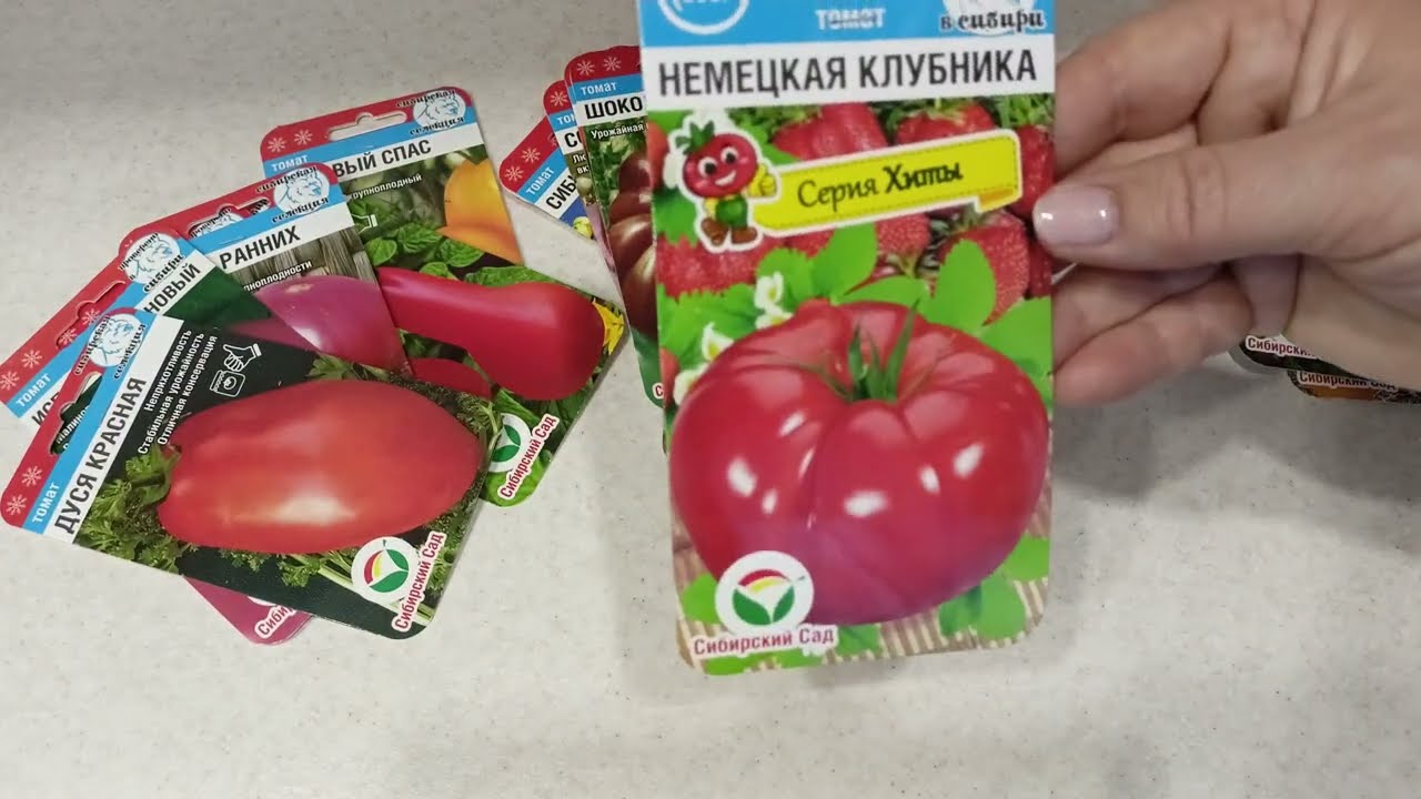Высокорослые сортовые томаты для теплиц.м-н ДАЧА г.Каменск-Уральский 23.01.2023