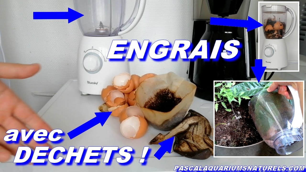 plantes vertes : ENGRAIS BIO naturel avec déchets gratuit ! Pascal Aquariums Naturels