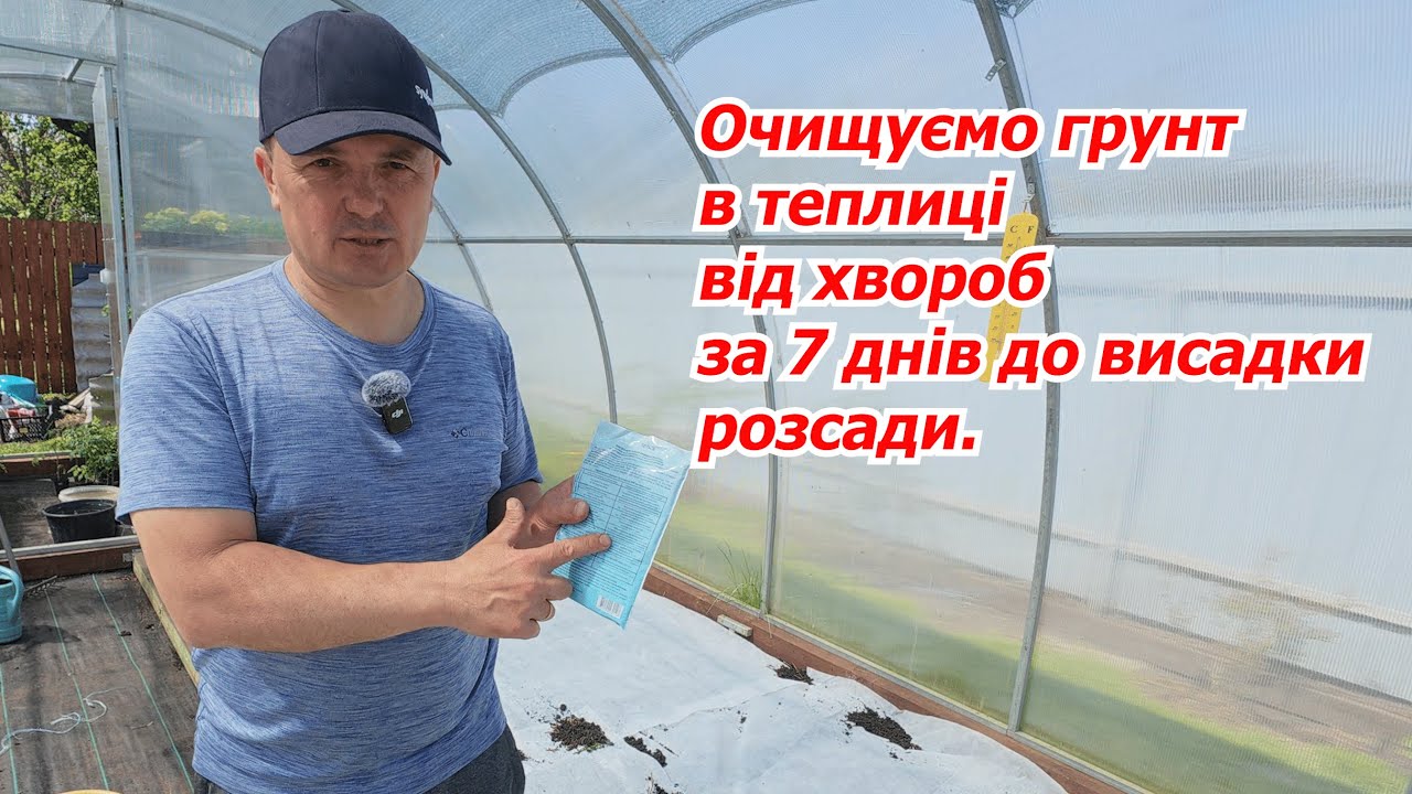 Дайте шанс своїм рослинам не захворіти!