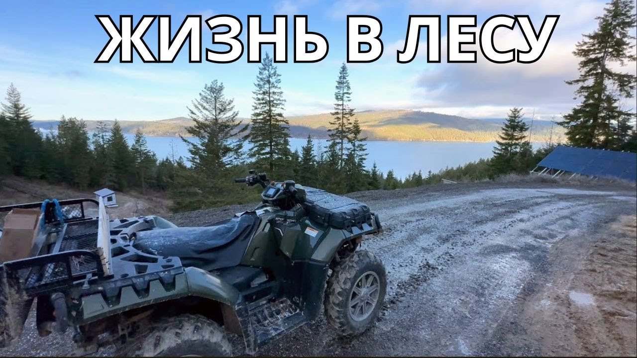 Жизнь в лесу. Рассказ городского жителя.