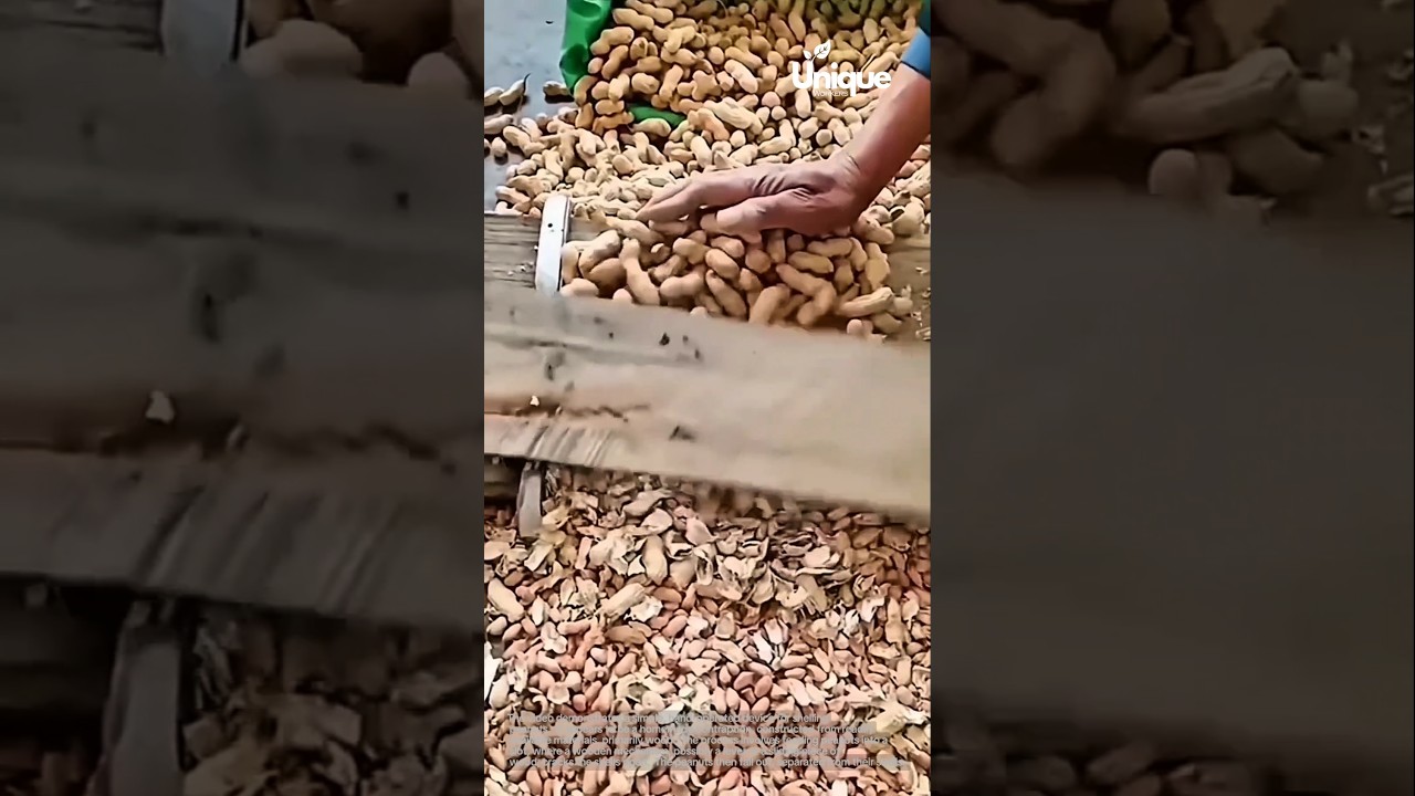 Homemade tool for shelling peanuts