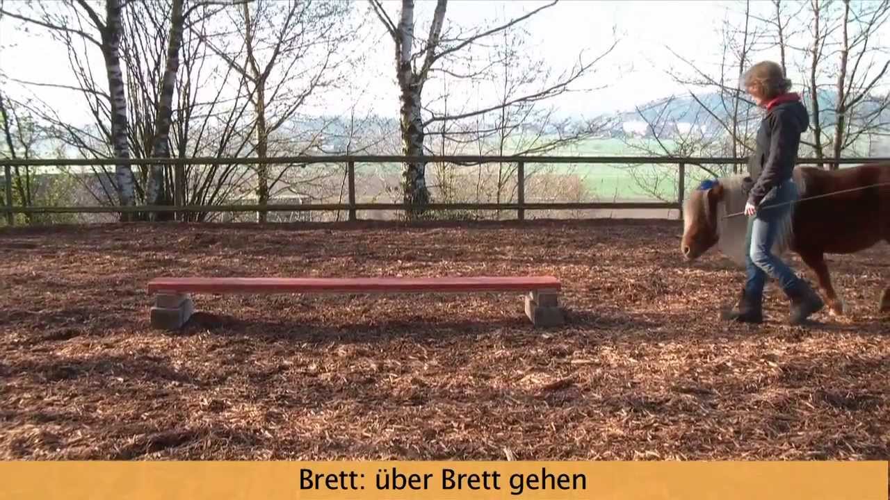 Zirkuslektionen/ Tricks mit Pony Sissi Teil 1 Nov. 2013