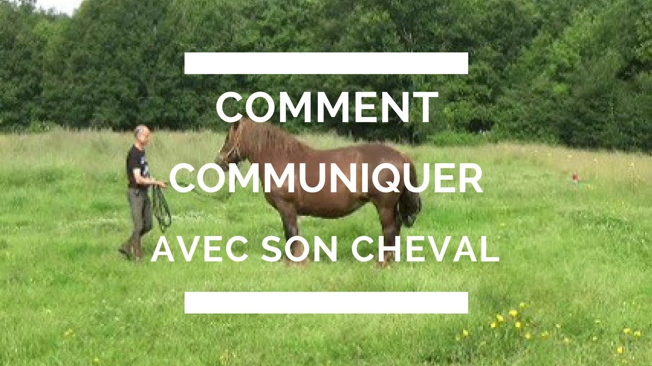 comment parler communiquer échanger avec son cheval