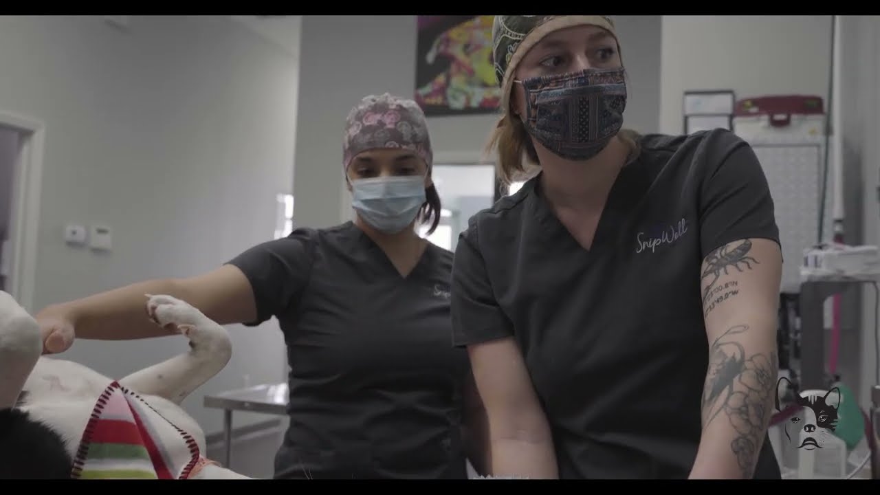 SCS Surgical Flow and Closed Loop Communication