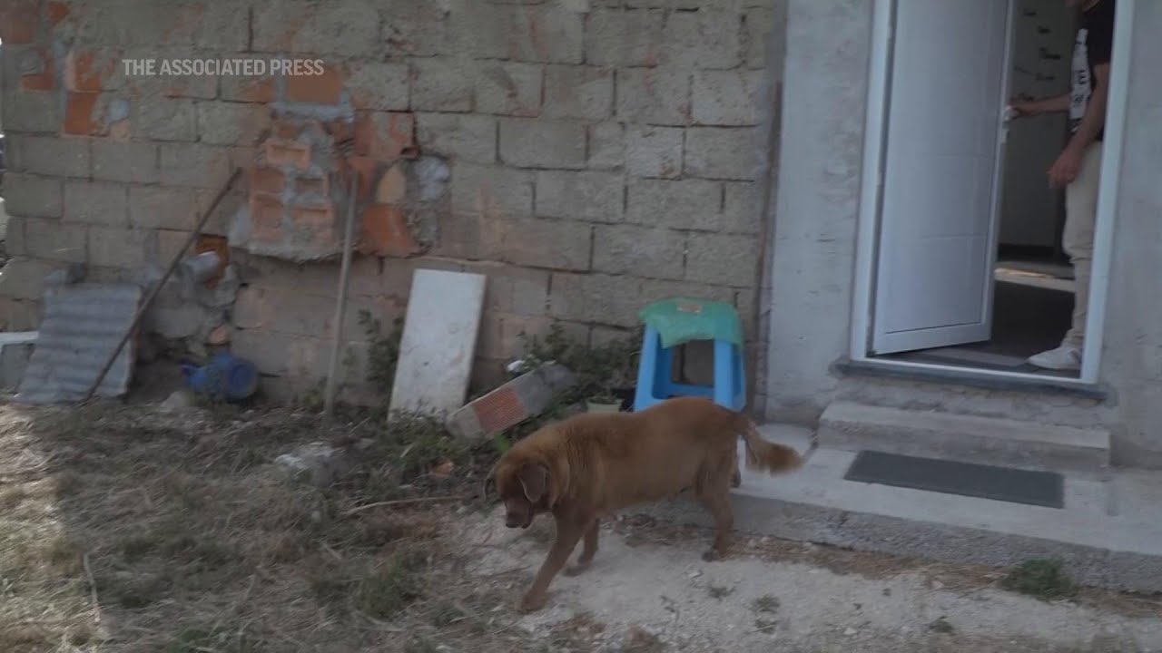 Secrets of the world's oldest dog