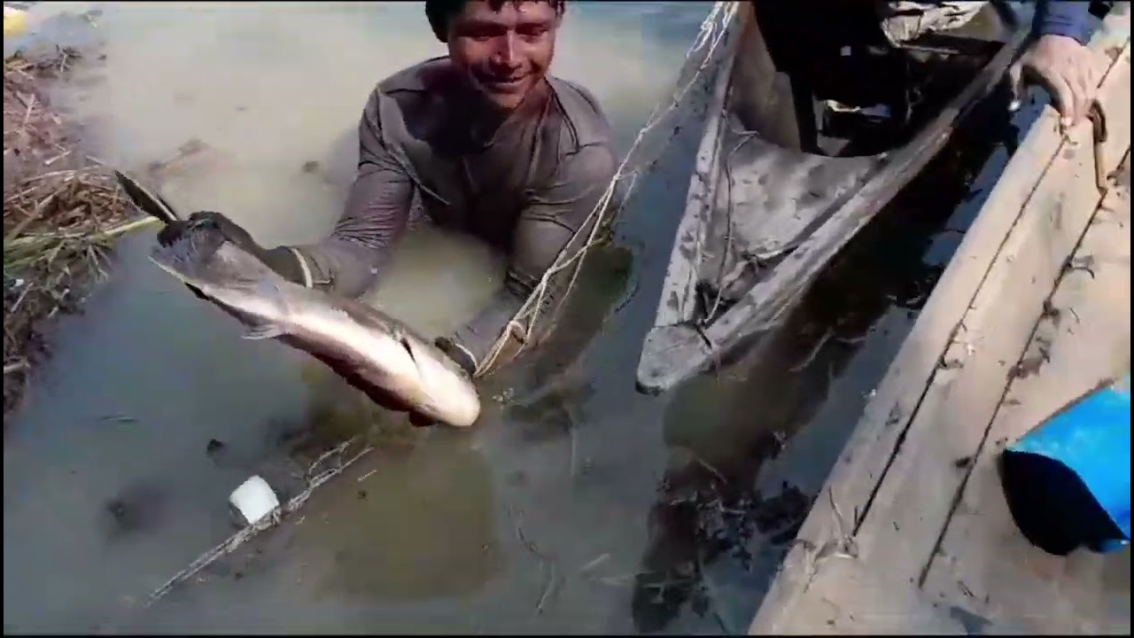 PESCARIA NA AMAZÔNIA
