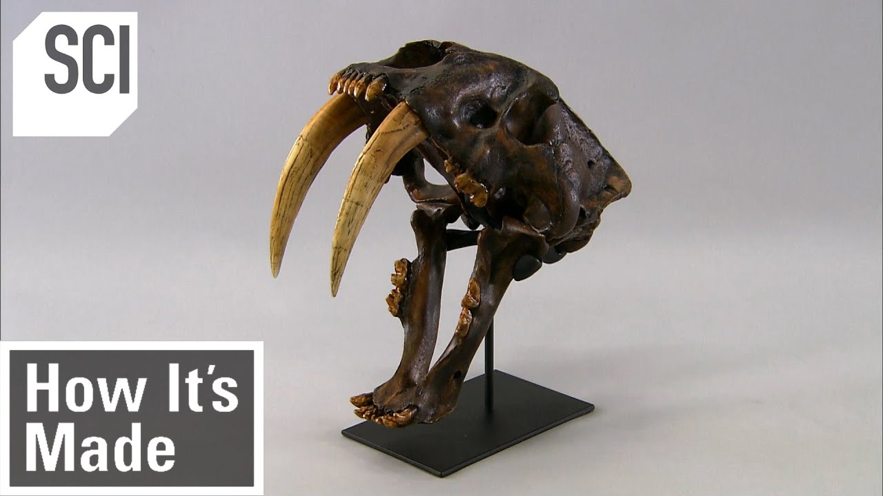 How It's Made: Skeletal Replicas