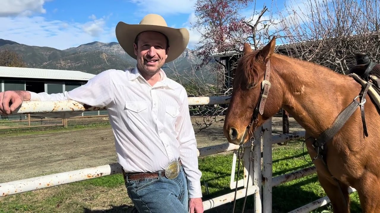 Добро пожаловать в Happy Horses®!