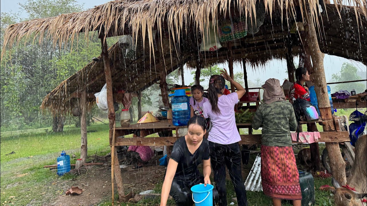 แกงเห็ดเผาะ กินข้าวแลงอยู่เถียงนาฝนริน ແກງເຫັດເຜາະຢູ່ຖຽງນາຍາມແລງຝົນຕົກລິນ