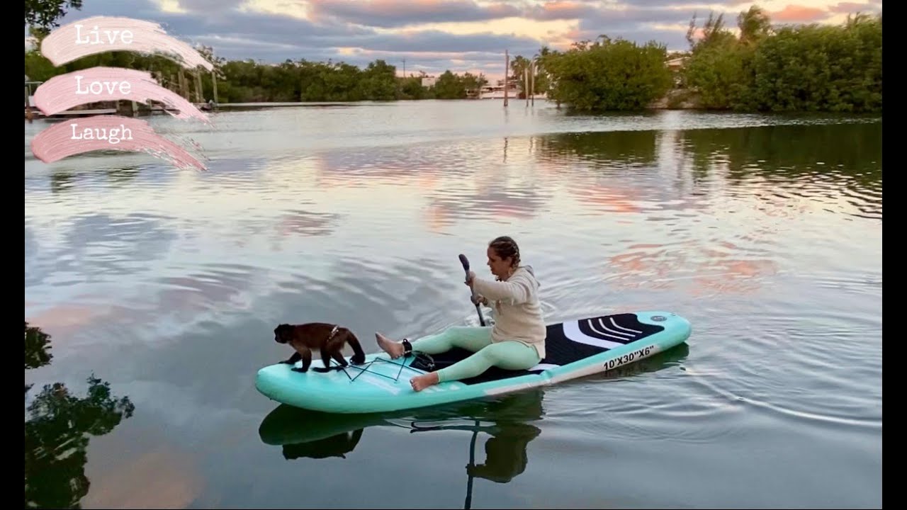 Monkey Toby & Daisy 🐶 kayaking with crazy Sissy & LOVING IT!